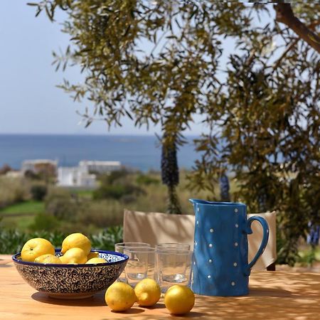 Good Life Greece Eco Villas 波西多尼亚 外观 照片