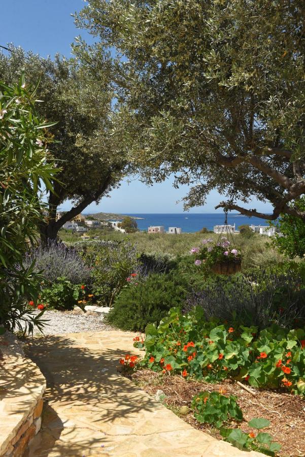 Good Life Greece Eco Villas 波西多尼亚 外观 照片