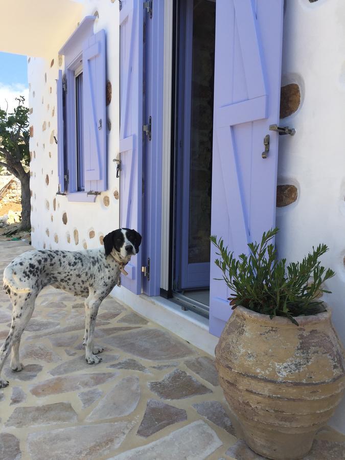 Good Life Greece Eco Villas 波西多尼亚 外观 照片